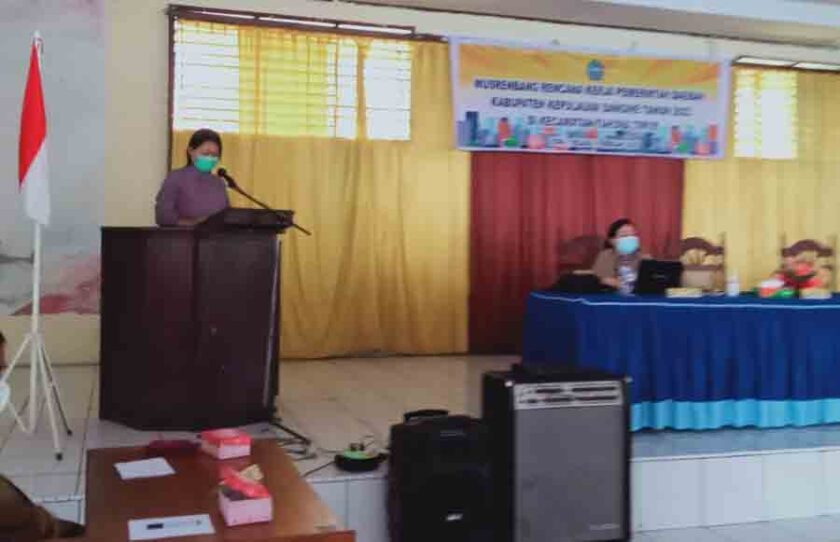 Camat Imelda edit Ok