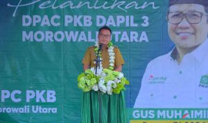 PKB Ok