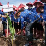 ASN 3 edit OK ASN 3 edit OK