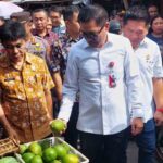 Bapok 3 OK Bapok 3 OK