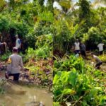 banjir edit OK