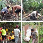 Gamon 1 OK Gamon 1 OK