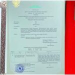 MINUT 3 edit OK MINUT 3 edit OK