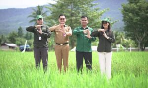 FB_IMG_1689056636176