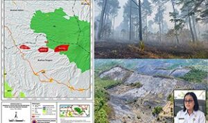 17_13_47_IMG-20230908-WA0022