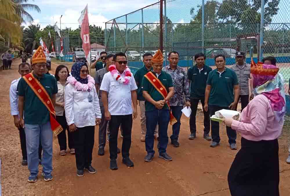 Bupati delis edit OK