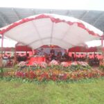 Caroll 4 edit Ok Caroll 4 edit Ok