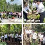 KPU Mitra ok KPU Mitra ok