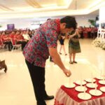 Pelsus 3 OK Pelsus 3 OK