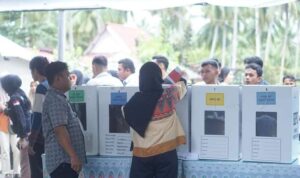 423865155_914366783468296_4922649916541271052_n