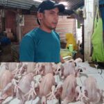 Ayam OK