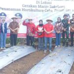 Tanam 1 OK Tanam 1 OK