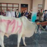 Kurban edit OK Kurban edit OK