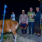 sapi