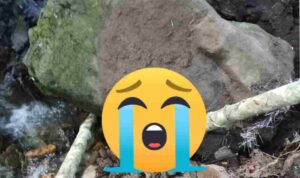 PhotoCollage_1721306161811_11zon