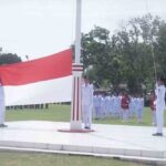 Adve 2 edit OK Adve 2 edit OK