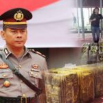 Screenshot_20240803_153106_Chrome