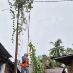 Screenshot_20240813_094714_WhatsApp