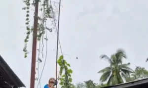 Screenshot_20240813_094714_WhatsApp