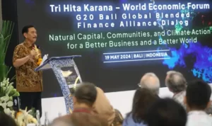 WhatsApp-Image-2024-05-21-at-19.46.34-768x508