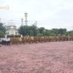 04df786e-49f9-4c42-8bea-666a1b93baa0