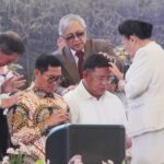 IMG-20241118-WA0001-905x608