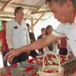 IMG_20241113_175325_VHpGDMKk8x