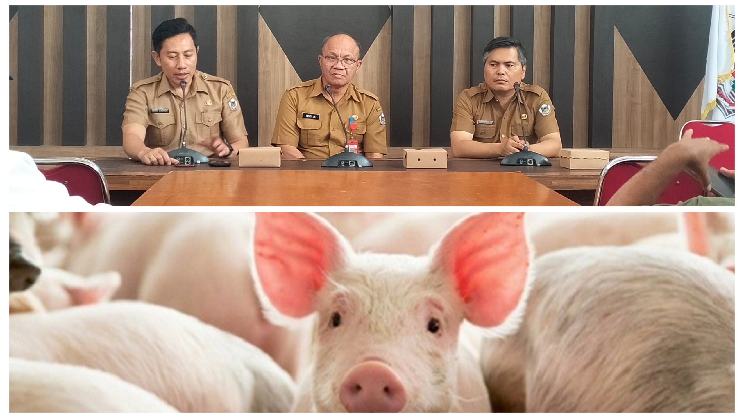 GridArt_20241217_072513814