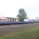 Sekda 4 Sekda 4