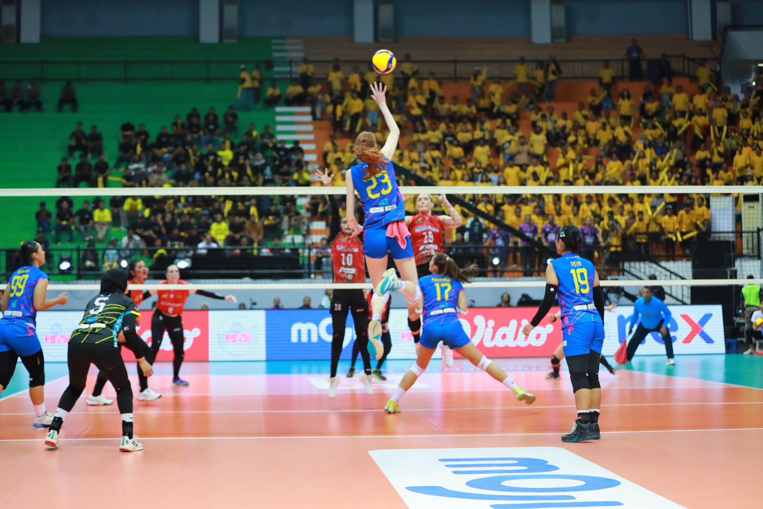 WhatsApp-Image-2024-07-05-at-11.42.58