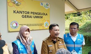 WhatsApp-Image-2024-07-22-at-18.27.27