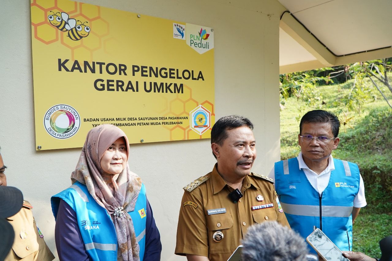 WhatsApp-Image-2024-07-22-at-18.27.27