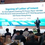 WhatsApp-Image-2024-08-16-at-08.16.47