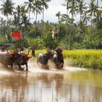 WhatsApp-Image-2024-08-18-at-11.58.15