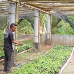 WhatsApp-Image-2024-09-25-at-7.59.00-PM-1