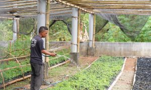 WhatsApp-Image-2024-09-25-at-7.59.00-PM-1