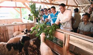 WhatsApp-Image-2024-09-26-at-7.10.40-PM