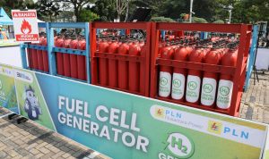 WhatsApp-Image-2024-10-08-at-2.44.21-PM