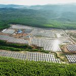 WhatsApp-Image-2024-11-10-at-8.07.14-AM