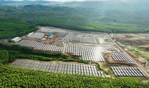 WhatsApp-Image-2024-11-10-at-8.07.14-AM