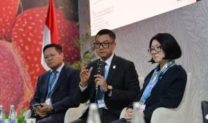 WhatsApp-Image-2024-11-12-at-6.56.20-PM (1)