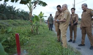 c0a8f676-abd3-44c1-8638-bfef8c32a593