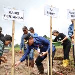 Minahasa 3 ok Minahasa 3 ok