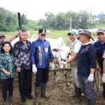 Minahasa 4 ok Minahasa 4 ok