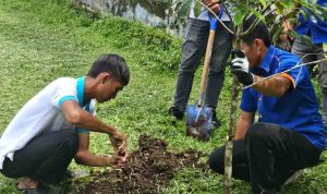 IMG-20250210-WA0055 edit ok