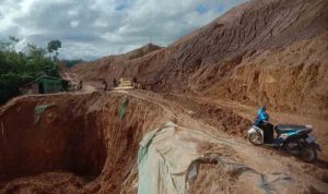 Screenshot_20250218_000407_Gallery ok