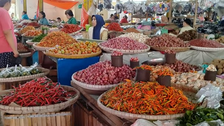 IMG20250226095502-720x406