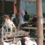 IMG20250226095852-720x406