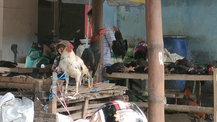 IMG20250226095852-720x406