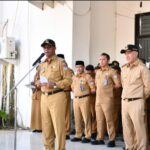 WhatsApp Image 2025-03-03 at 18.11.56 WhatsApp Image 2025-03-03 at 18.11.56